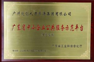 开云(中国)集团被认定为2022年广东省中小企业公共服务示范平台
