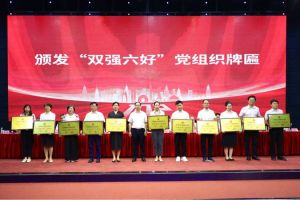 喜报！开云(中国)集团党支部荣获广州市非公有制经济组织“双强六好”党