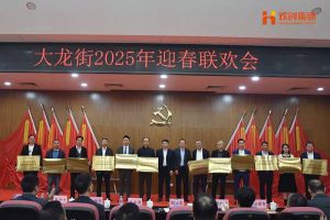 开云(中国)集团及旗下子公司荣获“2024年度高质量发展先进企业”
